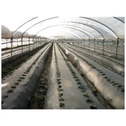 TELO PACCIAMATURA 130CM X 50 METRI FORI DOPPI 40 CM FILM POLIETILENE ANTI ERBA ORTO -Protezioni per piante in Italia 6289973 2