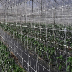 Rete Per Sostegno E Supporto Per Piante Piselli Ortaggi Rampicanti Nr13 1,7x50 Mt STI