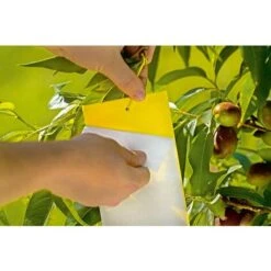 TRAPPOLA ADESIVA XL 24X17CM STOCKER 5 TRAPPOLA ADESIVA XL 24X17CM STOCKER -Protezioni per piante in Italia 66800622 3