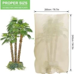 RHAFAYRE Copertura Invernale Per Piante, Copertura Invernale In Tessuto Non Tessuto 80 G/m² Protezione Antigelo Per Piante In Vaso E Rose (240x200 Cm) 7 RHAFAYRE Copertura Invernale Per Piante, Copertura Invernale In Tessuto Non Tessuto 80 G/m² Protezione Antigelo Per Piante In Vaso E Rose (240x200 Cm) -Protezioni per piante in Italia 68009017 3