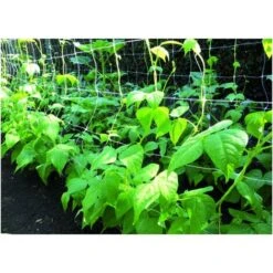 Rete Per Ortaggi Bianca Mt. 1,7X100