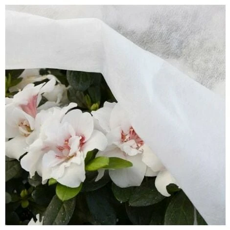 Copertura TNT Velo Bianco 3,2 Mtx10 GR 17 Verdelook 2 Copertura TNT Velo Bianco 3,2 Mtx10 GR 17 Verdelook - immagine 2