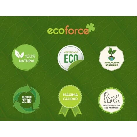 Colti Di Argilla Ampliati 5 L 3 Colti Di Argilla Ampliati 5 L - immagine 3