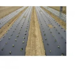 Biotelo Per Pacciamatura 1mt X 100mt 15 Micron Biodegradabile