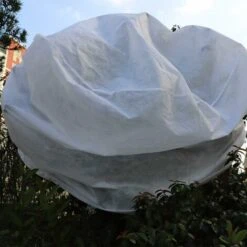 Copertura Per Piante, Protezione Antigelo Per Piante, Alberi, Arbusti, Copertura Con Coulisse, 100 X 100 Cm 9 Copertura Per Piante, Protezione Antigelo Per Piante, Alberi, Arbusti, Copertura Con Coulisse, 100 X 100 Cm -Protezioni per piante in Italia 77380611 5