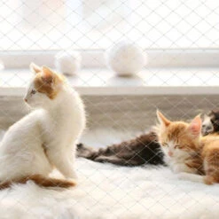 Randaco Rete Per Gatti Altri Accessori Per Gatti Rete Per Balconi Rete Per Uccelli Per Gatti Fissare La Rete Di Protezione Per Gatti 3x8m -Protezioni per piante in Italia 82454927 3