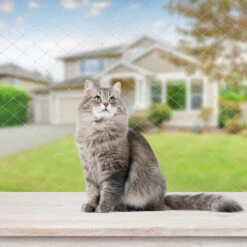 Randaco Rete Per Gatti Altri Accessori Per Gatti Rete Per Balconi Rete Per Uccelli Per Gatti Fissare La Rete Di Protezione Per Gatti 3x8m -Protezioni per piante in Italia 82454927 4