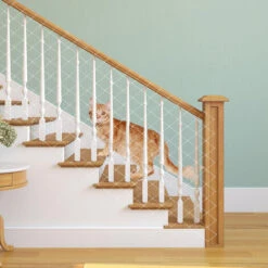 Randaco Rete Per Gatti Altri Accessori Per Gatti Rete Per Balconi Rete Per Uccelli Per Gatti Fissare La Rete Di Protezione Per Gatti 3x8m -Protezioni per piante in Italia 82454927 5