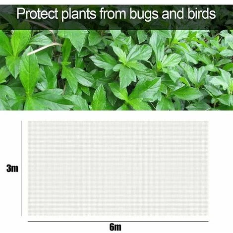 GTA Rete Anti-insetti Da Giardino, Rete Anti-insetti Da Orto, Rete Anti-insetti, Rete Anti-insetti Da Giardino, Rete Anti-insetti, Rete Anti-insetti (36) 2 GTA Rete Anti-insetti Da Giardino, Rete Anti-insetti Da Orto, Rete Anti-insetti, Rete Anti-insetti Da Giardino, Rete Anti-insetti, Rete Anti-insetti (36) - immagine 2