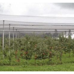 Windhager Rete Antigrandine -Protezioni per piante in Italia 86647660 3