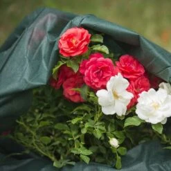 Windhager 06.271 Protettivo Tessuto Non Tessuto è Salito A 30 G/m² Verde 0,7 X 5 M -Protezioni per piante in Italia 86649245 3