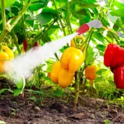 Spruzzatore A Pressione Da 5 Litri Azionamento A Pompa Manuale Irroratore Tubo E Lancia Tracolla Zaino Da Giardino Con Ugello Regolabile Per Irrigazione Nebulizzatore Colore Bianco E Verde -Protezioni per piante in Italia 88528574 3