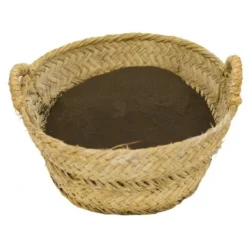 CULTIVERS Blood Meal 5 Kg. Fertilizzante Organico Ad Alto Contenuto Di Azoto, Ferro Emico E Materia Organica. Fertilizzante Naturale Attivatore Di Crescita Per Colture -Protezioni per piante in Italia 93582183 3