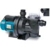 MARINA ELETTROPOMPA Per PISCINA HP 1,5 Pompa Monofase Con Prefiltro 1200 W 380 Lt/min