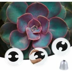 Protezioni per piante in Italia -Protezioni per piante in Italia 95703708 2