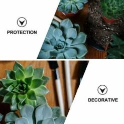 1 Set Cloche Da Giardino Cupola Per Piante Copertura Per Cloche Copertura Per Protezioni Per Piante In Plastica Copertura Per Cupola Per Serra Per Accessori Per Attrezzi Da Giardinaggio -Protezioni per piante in Italia 95703708 4