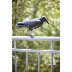 Esschert Design FY18 - Spaventapasseri, 12,9 X 36,2 X 22,2 Cm, Colore: Nero 6 Esschert Design FY18 - Spaventapasseri, 12,9 X 36,2 X 22,2 Cm, Colore: Nero -Protezioni per piante in Italia 95816212 3