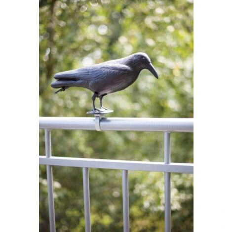 Esschert Design FY18 - Spaventapasseri, 12,9 X 36,2 X 22,2 Cm, Colore: Nero 3 Esschert Design FY18 - Spaventapasseri, 12,9 X 36,2 X 22,2 Cm, Colore: Nero - immagine 3