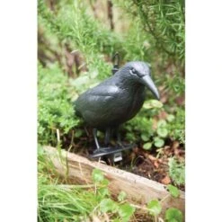 Esschert Design FY18 - Spaventapasseri, 12,9 X 36,2 X 22,2 Cm, Colore: Nero 7 Esschert Design FY18 - Spaventapasseri, 12,9 X 36,2 X 22,2 Cm, Colore: Nero -Protezioni per piante in Italia 95816212 4