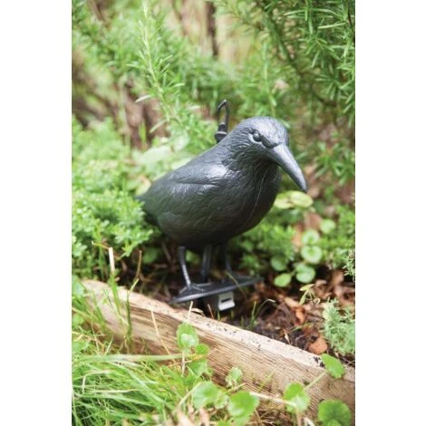 Esschert Design FY18 - Spaventapasseri, 12,9 X 36,2 X 22,2 Cm, Colore: Nero 4 Esschert Design FY18 - Spaventapasseri, 12,9 X 36,2 X 22,2 Cm, Colore: Nero - immagine 4