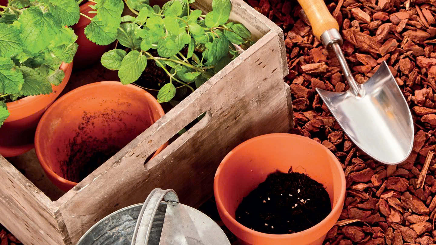 Protezioni per piante in Italia -Protezioni per piante in Italia z6338741838198 9be7a4d4b03c53e1001eb823635c1784