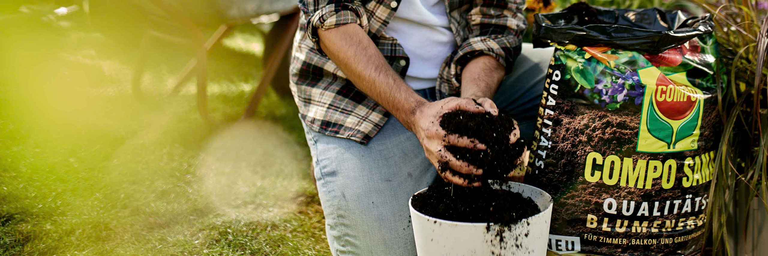 Protezioni per piante in Italia -Protezioni per piante in Italia z6338782332216 5d05649465263cd595788add8011da8b